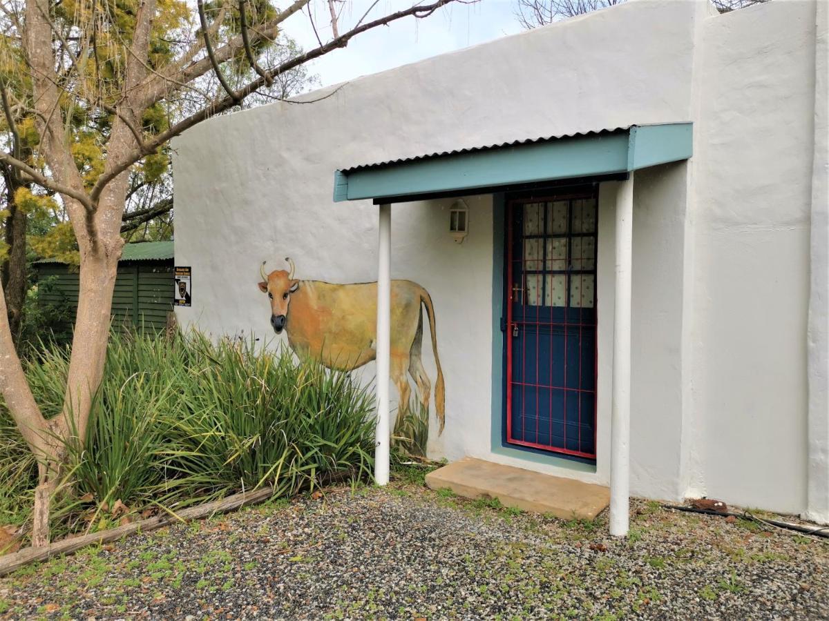 Hotel Studio Frangipani Solar Powered Greyton Exteriér fotografie